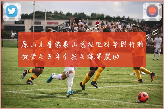 原山东鲁能泰山总经理孙华因行贿被禁足五年引发足球界震动