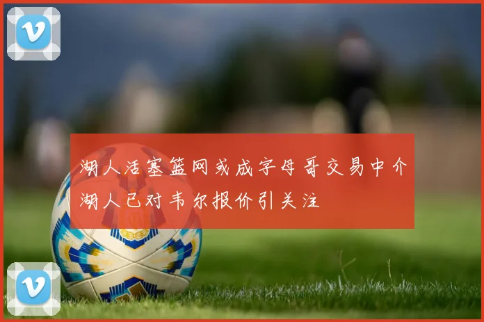 湖人活塞篮网或成字母哥交易中介湖人已对韦尔报价引关注