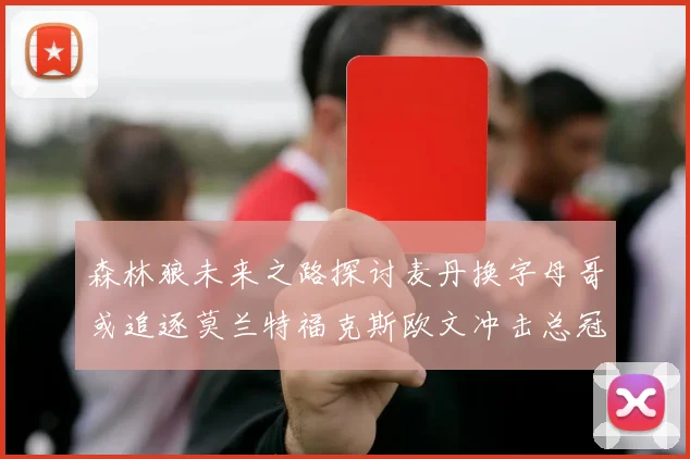 森林狼未来之路探讨麦丹换字母哥或追逐莫兰特福克斯欧文冲击总冠军