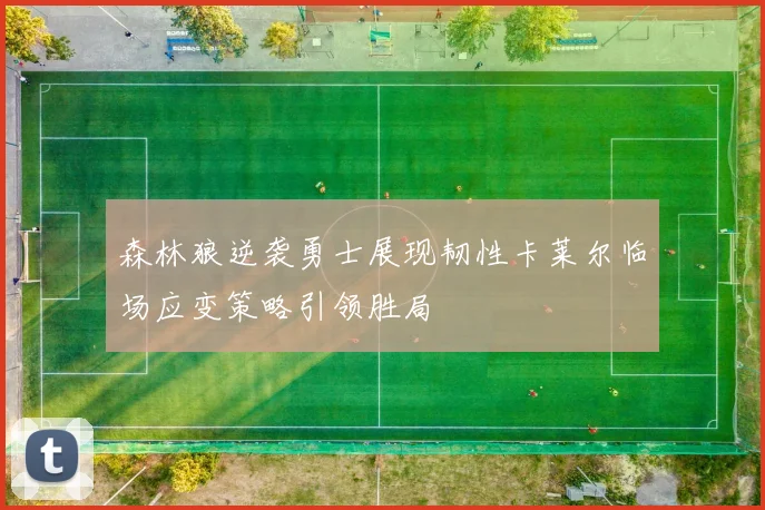 森林狼逆袭勇士展现韧性卡莱尔临场应变策略引领胜局